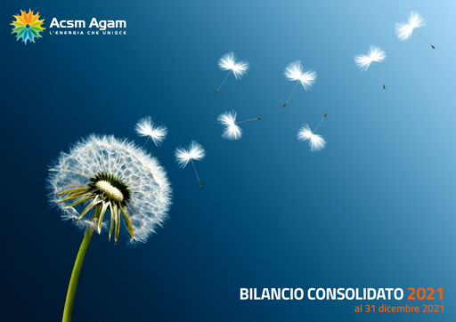 Thumbnail Acinque Financial Statement 2021