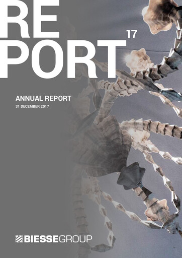 Thumbnail Biesse Annual Report 2017