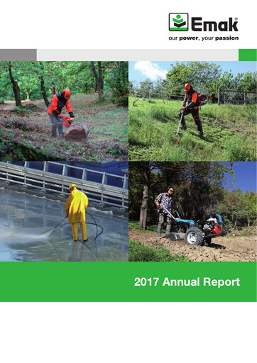 Thumbnail Emak S.p.A. Annual Report 2017