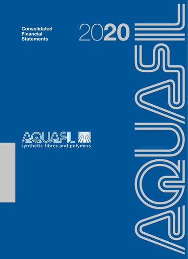 Miniature Aquafil Bilan financier 2020