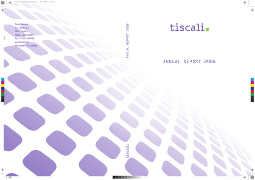 Miniature Tessellis Rapport financier 2008