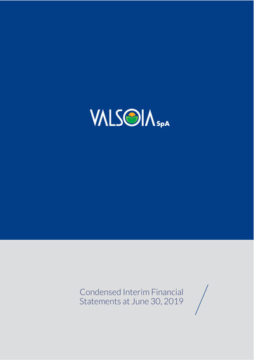 Thumbnail Valsoia S.p.A. Financial Statement 2019-h1