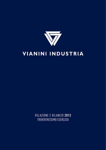 Thumbnail Vianini Annual Report 2013