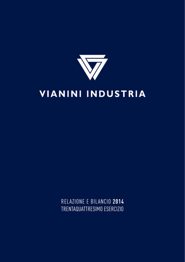 Thumbnail Vianini Annual Report 2014