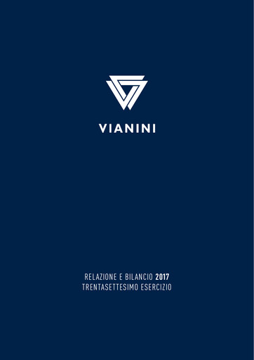 Thumbnail Vianini Annual Report 2017