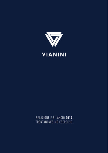 Thumbnail Vianini Annual Report 2019