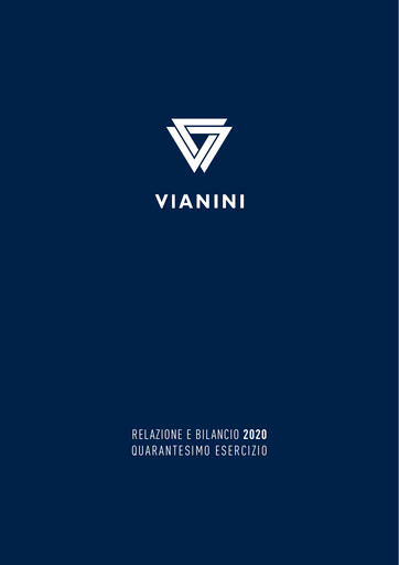Thumbnail Vianini Annual Report 2020