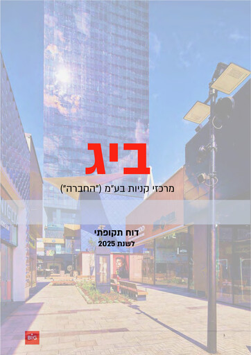 Miniature BIG Shopping Centers Bilan financier 2025