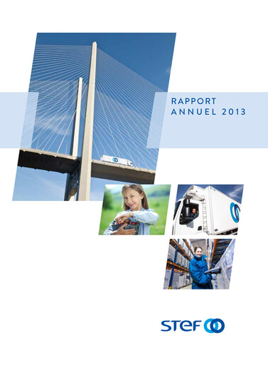 Thumbnail STEF SA Annual Report 2013