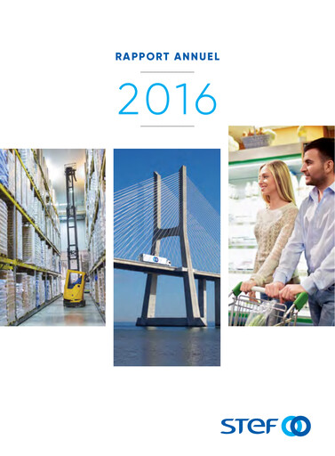 Thumbnail STEF SA Annual Report 2016