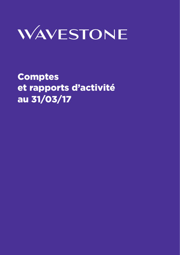 Vorschaubild Wavestone SA Finanzbericht 2016-2017