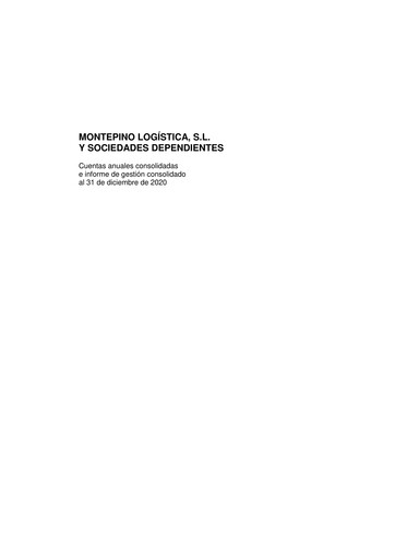 Thumbnail Montepino Logística Financial Statement 2020