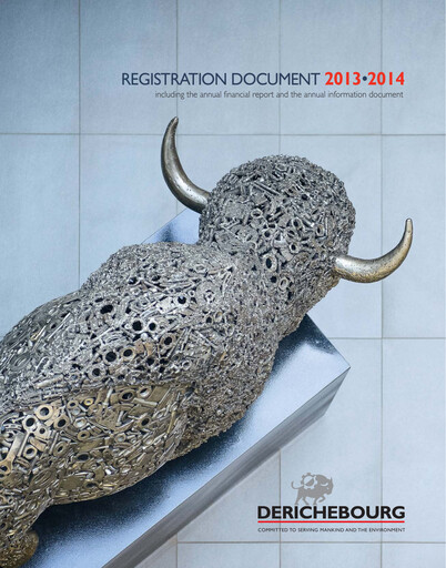 Thumbnail Derichebourg Universal Registration Document 2013-2014