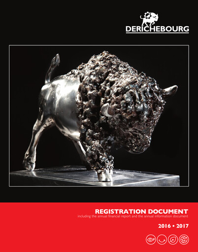 Thumbnail Derichebourg Universal Registration Document 2016-2017