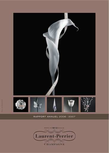Thumbnail Laurent-Perrier Universal Registration Document 2006-2007