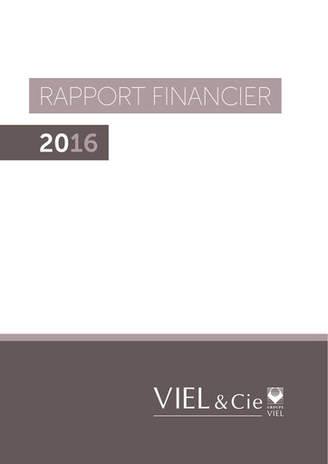 Thumbnail VIEL & Cie Financial Report 2016