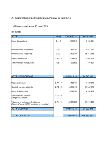 Thumbnail Gérard Perrier Industrie S.A. Half-year Report 2015-h1
