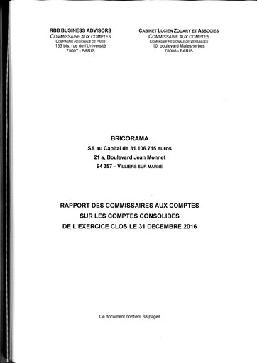 Thumbnail Bourrelier Group Financial Statement 2016