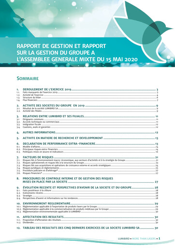 Thumbnail Lumibird Financial Report 2019