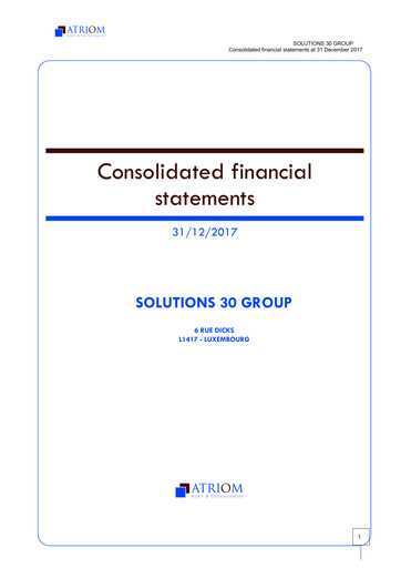 Thumbnail Solutions 30 Financial Statement 2017