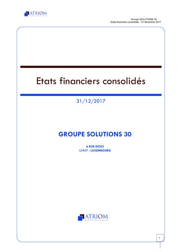 Thumbnail Solutions 30 Financial Statement 2017