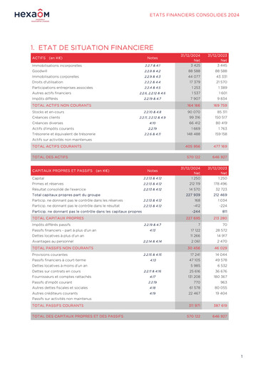 Thumbnail Hexaom Financial Statement 2024