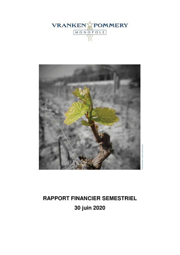 Thumbnail Vranken-Pommery Monopole Half-year Report 2020-h1
