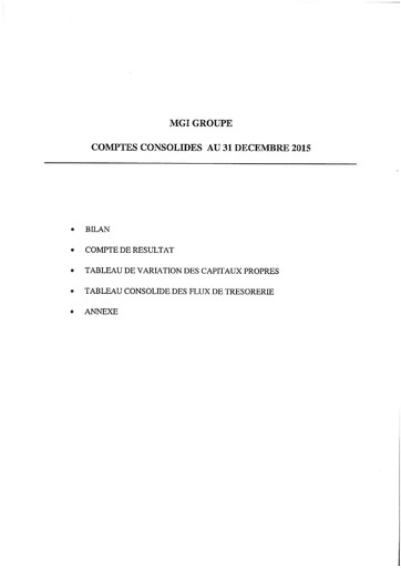 Thumbnail MGI Digital Technology Financial Statement 2015