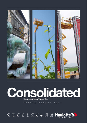 Miniature Haulotte Group Bilan financier 2010