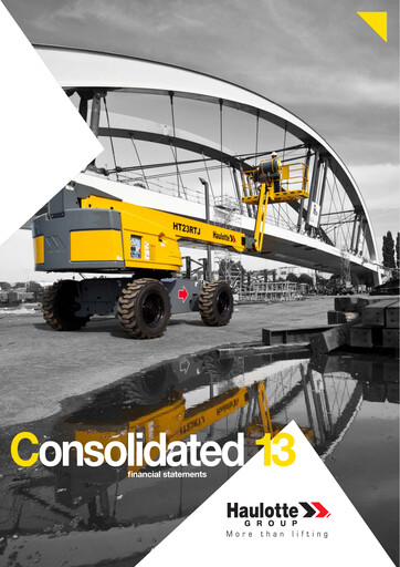 Miniature Haulotte Group Bilan financier 2013