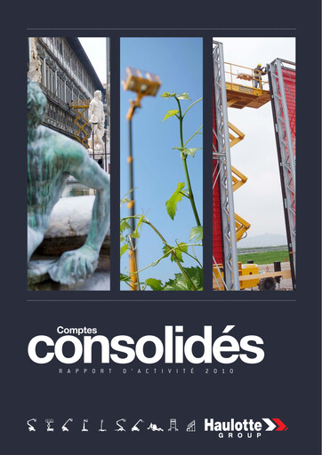 Thumbnail Haulotte Group Financial Statement 2010
