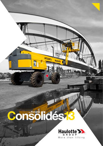 Thumbnail Haulotte Group Financial Statement 2013