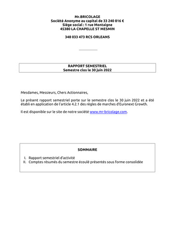 Thumbnail Mr.Bricolage Half-year Report 2022-h1