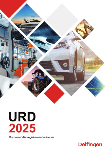 Thumbnail Delfingen Industry Universal Registration Document 2025