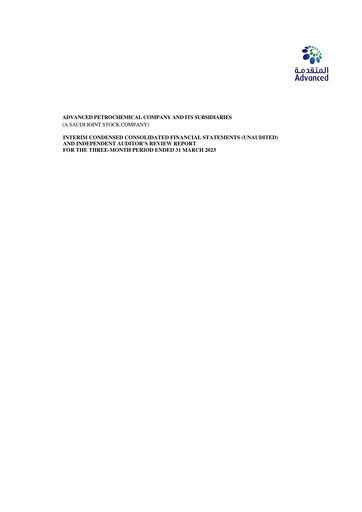 Thumbnail Advanced Petrochemical Financial Statement 2023-q1