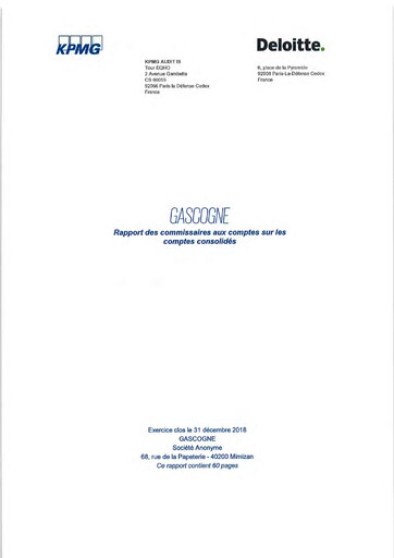 Miniature Gascogne Groupe Bilan financier 2018