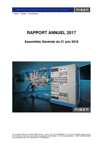 Thumbnail Riber S.A. Annual Report 2017