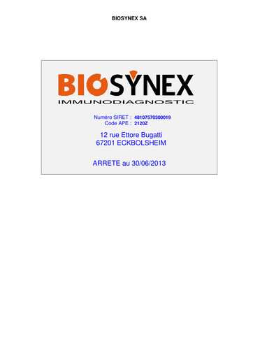 Thumbnail Biosynex Financial Report 2013-h1