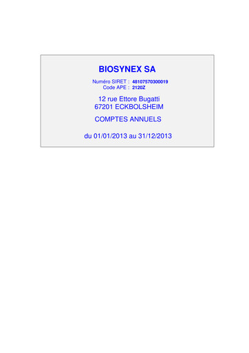 Thumbnail Biosynex Financial Statement 2013