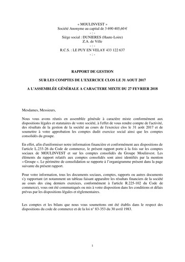 Miniature Moulinvest Rapport financier 2017