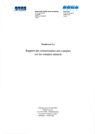 Thumbnail Moulinvest Financial Statement 2015