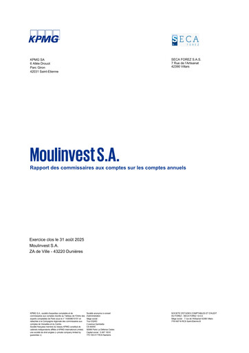 Thumbnail Moulinvest Financial Statement 2025