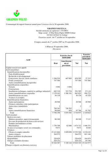 Thumbnail Graines Voltz Financial Report 2008