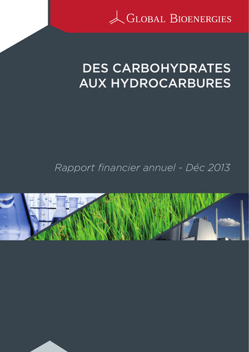 Thumbnail Global Bioenergies Financial Report 2013