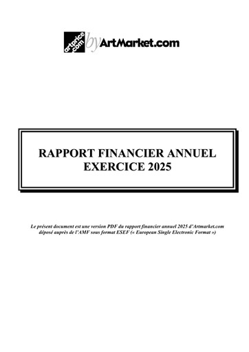 Miniature Artmarket.com Rapport financier 2025