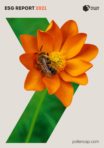 Thumbnail Pollen Street Group ESG Report 2021