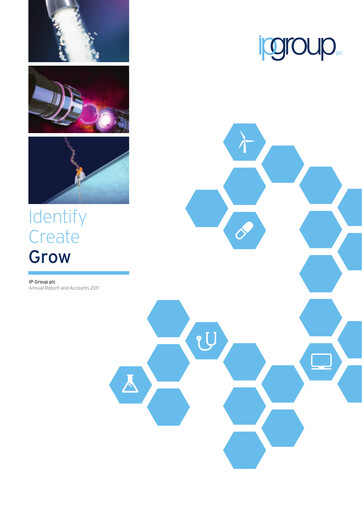 Thumbnail IP Group Annual Report 2011