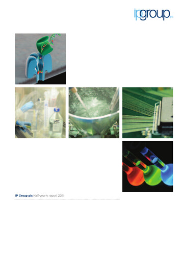 Thumbnail IP Group Half-year Report 2011-h1
