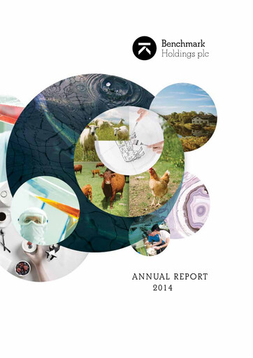 Thumbnail Benchmark Holdings Annual Report 2014