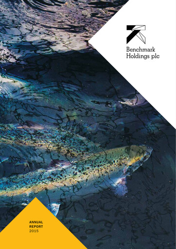 Thumbnail Benchmark Holdings Annual Report 2015